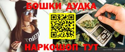 индика Ставрополь