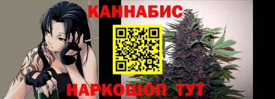 индика Ставрополь