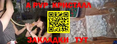 индика Ставрополь