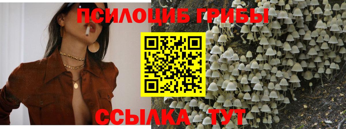 Псилоцибиновые грибы мицелий  Вход с VPN  Орёл  Галлюциногенные грибы MAGIC MUSHROOMS 